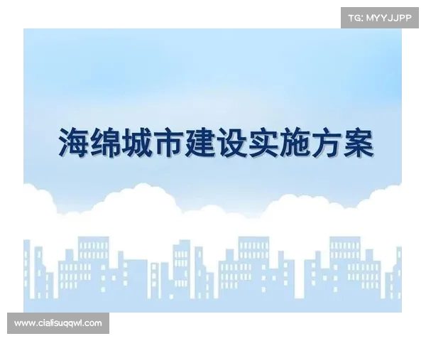 足球俱乐部引援方案制定与实施策略分析及优化路径探讨 足球俱乐部引援方案制定与实施策略分析及优化路径探讨